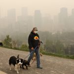 wildfire-smoke-is-bad-for-animals-too-including-your-pets