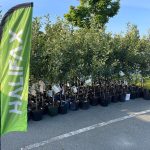 halifax-giving-free-tree-to-1,000-households-on-‘first-come,-first-served’-basis