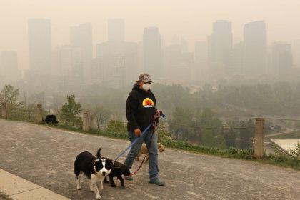 wildfire-smoke-is-also-harming-your-pets