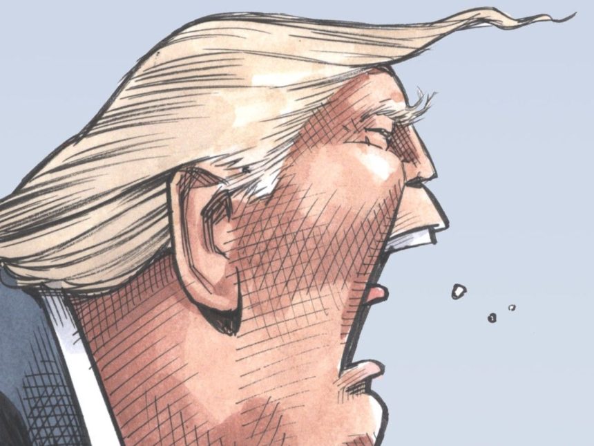 bruce-mackinnon:-unpredictable-nature-of-trump-trade-talks-all-too-predictable