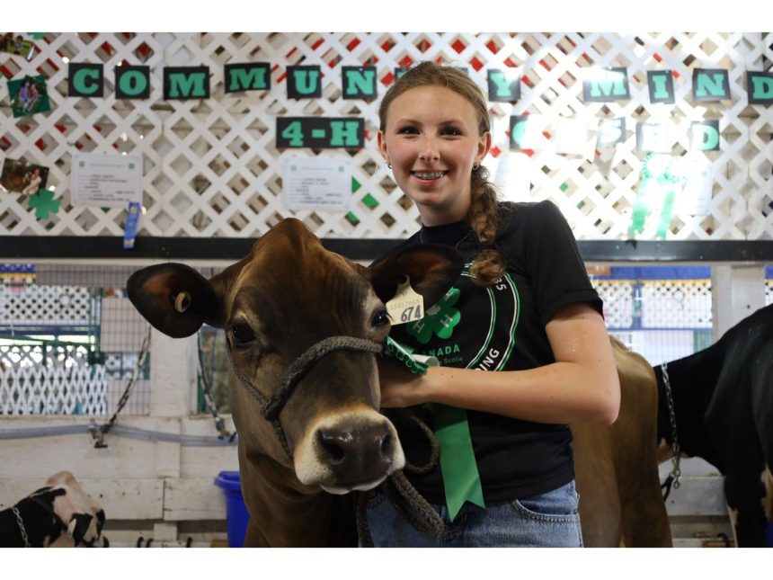 in-photos:-tradition-thrives-at-2026-nova-scotia-provincial-exhibition