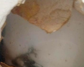 cambridge-bay-housing-association-says-mouldy-homes-are-caused-by-tenants-neglect,-poor-communication
