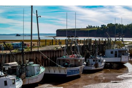 nova-scotia-opens-door-to-small-scale-tidal-power-projects-in-bay-of-fundy