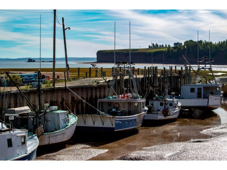 nova-scotia-opens-door-to-small-scale-tidal-power-projects-in-bay-of-fundy