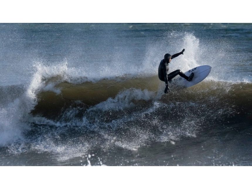 high-bacteria-levels-close-two-halifax-beaches-to-swimming