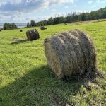 nova-scotia-invests-in-agriculture-equipment-for-cape-breton-farmers