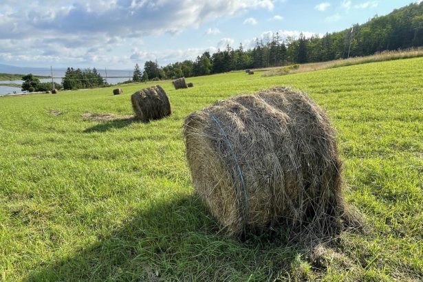 nova-scotia-invests-in-agriculture-equipment-for-cape-breton-farmers