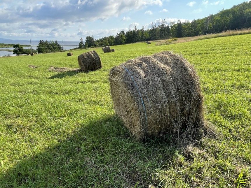 nova-scotia-invests-in-agriculture-equipment-for-cape-breton-farmers