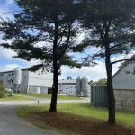 fire-at-nova-scotia-farm-where-10,000-chickens-were-killed-in-a-break-in-last-month-not-suspicious,-rcmp-say