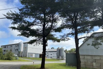fire-at-nova-scotia-farm-where-10,000-chickens-were-killed-in-a-break-in-last-month-not-suspicious,-rcmp-say