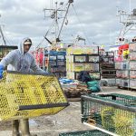 nova-scotia-seafood-companies-get-$2.2-million-to-cut-energy-costs,-emissions