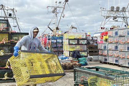 nova-scotia-seafood-companies-get-$2.2-million-to-cut-energy-costs,-emissions