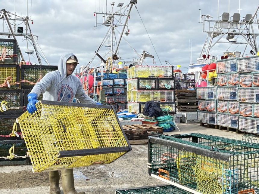 nova-scotia-seafood-companies-get-$2.2-million-to-cut-energy-costs,-emissions
