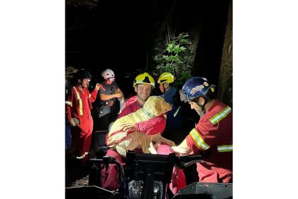 kings-county-rope-rescue-team-saves-dog-that-fell-over-cliff-at-cape-blomidon