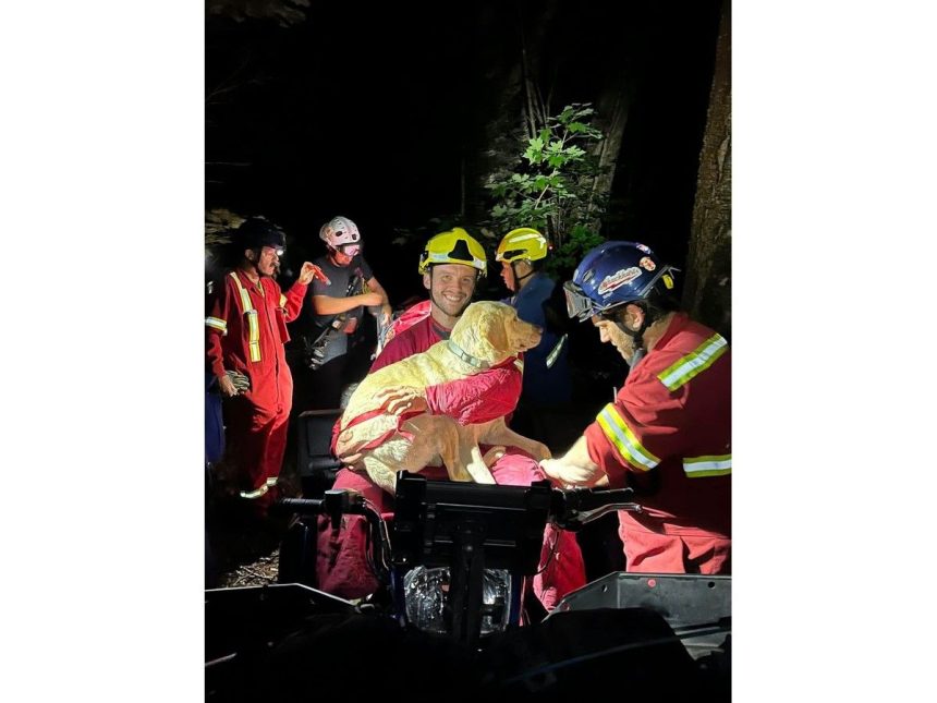 kings-county-rope-rescue-team-saves-dog-that-fell-over-cliff-at-cape-blomidon