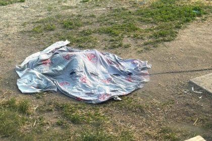 family-in-swan-lake-first-nation-pretty-upset-police-cleared-after-shooting-dog