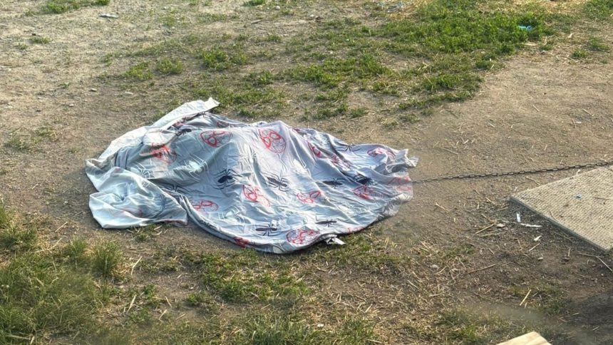 family-in-swan-lake-first-nation-pretty-upset-police-cleared-after-shooting-dog