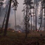 i-spent-years-fighting-wildfires.-now,-i-have-ptsd