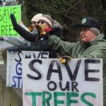 an-elders-fight-to-protect-goldstream-park-in-bc.
