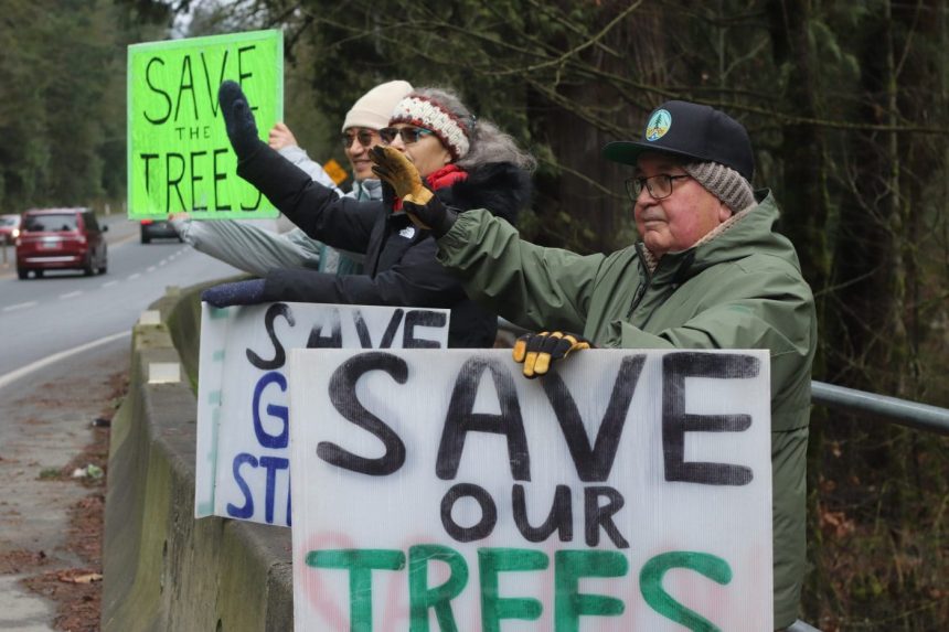 an-elders-fight-to-protect-goldstream-park-in-bc.