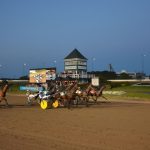sugar-man-draws-coveted-rail-for-gold-cup-and-saucer