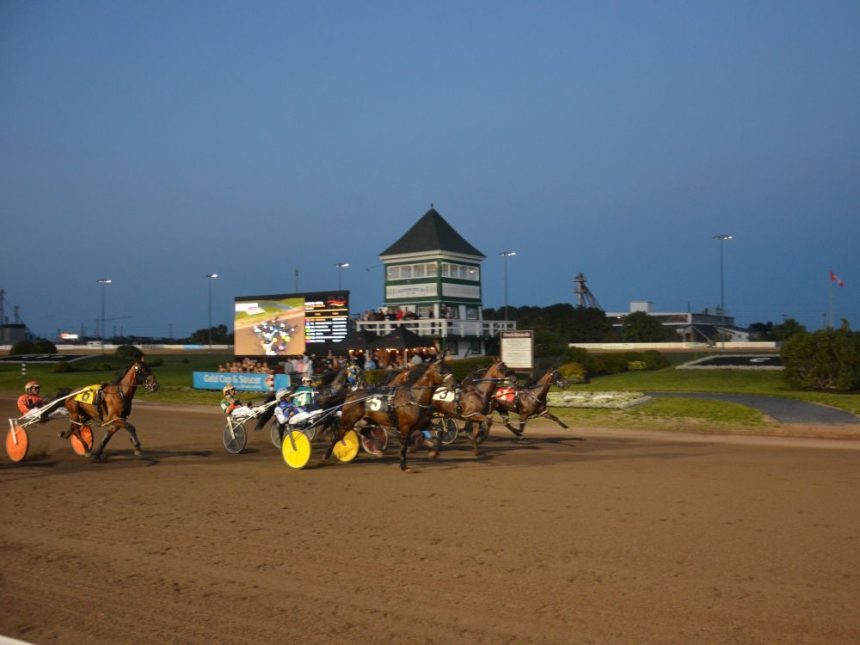 sugar-man-draws-coveted-rail-for-gold-cup-and-saucer