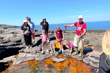 shoreline-discoveries-made-in-digby-after-the-tide-goes-out