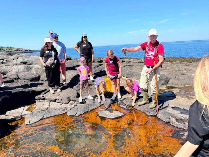 shoreline-discoveries-made-in-digby-after-the-tide-goes-out