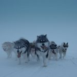 new-docuseries-on-arctic-life-premieres-next-month-on-aptn
