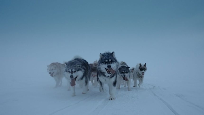 new-docuseries-on-arctic-life-premieres-next-month-on-aptn