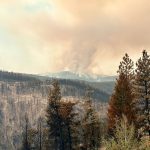 yukon-first-nations-wildfire-say-they-havent-been-called-to-help-in-bc.