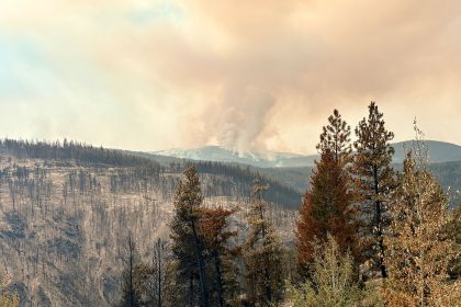 yukon-first-nations-wildfire-say-they-havent-been-called-to-help-in-bc.