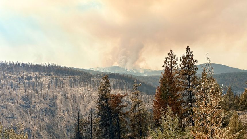 yukon-first-nations-wildfire-say-they-havent-been-called-to-help-in-bc.