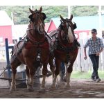 in-photos:-family-fun-at-the-annapolis-valley-exhibition