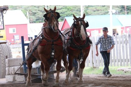in-photos:-family-fun-at-the-annapolis-valley-exhibition