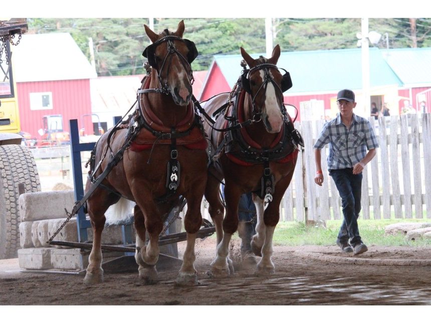 in-photos:-family-fun-at-the-annapolis-valley-exhibition