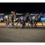 fiddler’s-facts:-greatest-gold-cup-and-saucer-field-ever-suggests-new-cdp-track-record