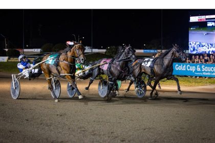 fiddler’s-facts:-greatest-gold-cup-and-saucer-field-ever-suggests-new-cdp-track-record