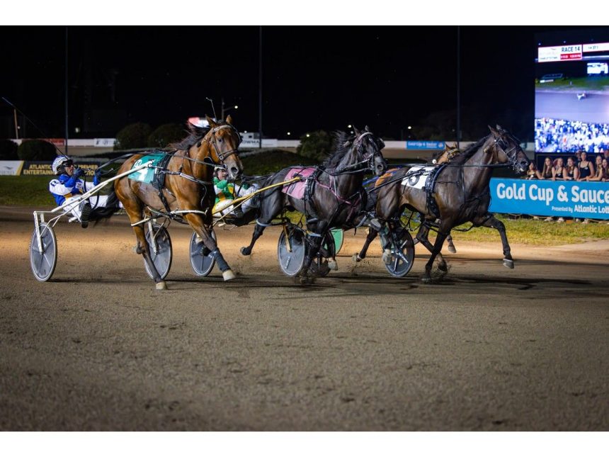 fiddler’s-facts:-greatest-gold-cup-and-saucer-field-ever-suggests-new-cdp-track-record