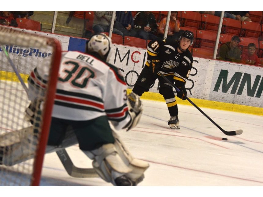 rookie-assessment:-cape-breton-eagles-prospects-split-pre-season-games-with-halifax-mooseheads