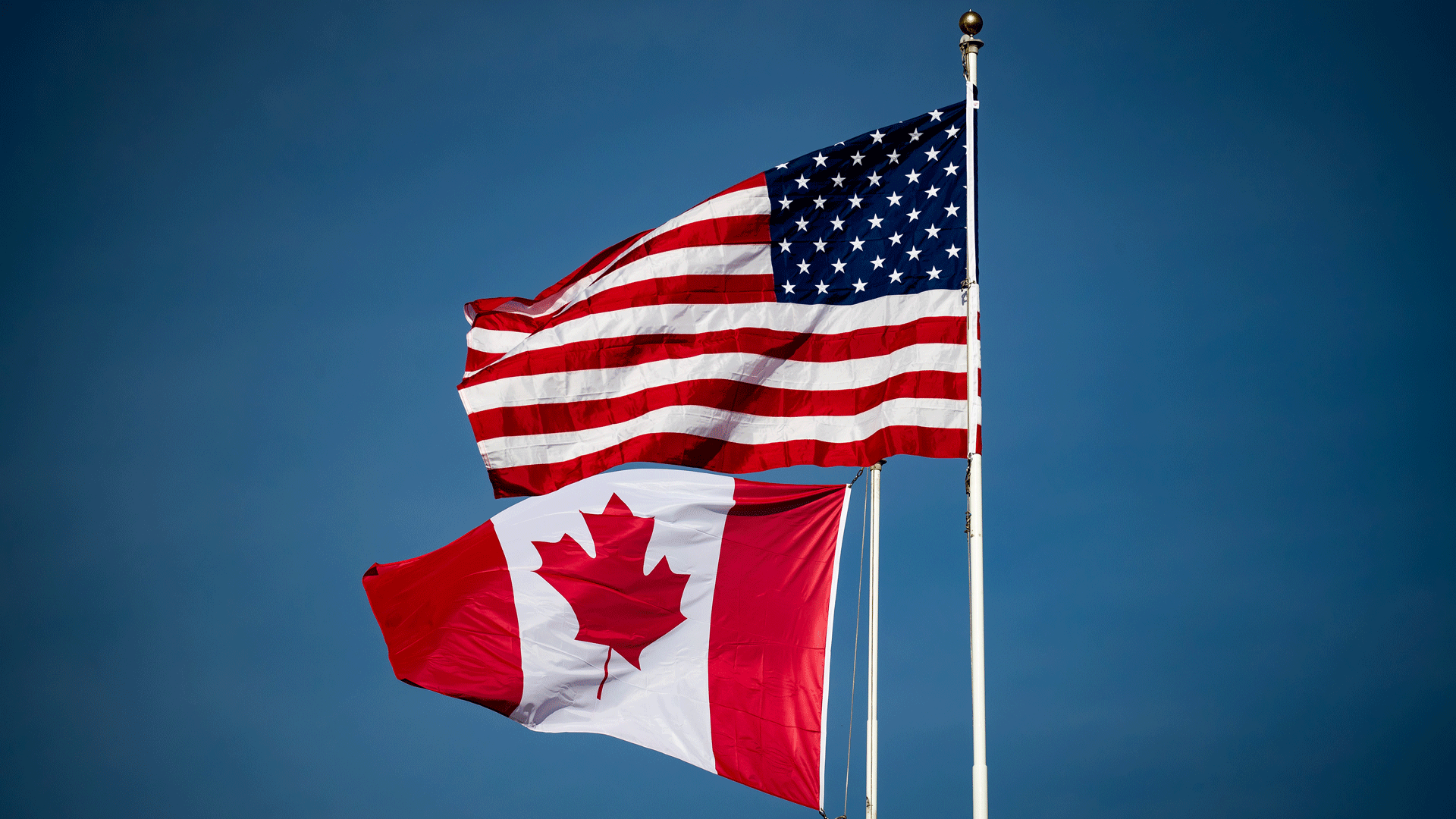 small-indigenous-businesses-to-be-hit-hard-by-us.-tariffs,-says-national-council