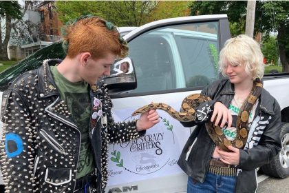 ‘love-the-unloved’:-reptiles,-snakes-need-rescuing-too,-says-cape-breton-resident