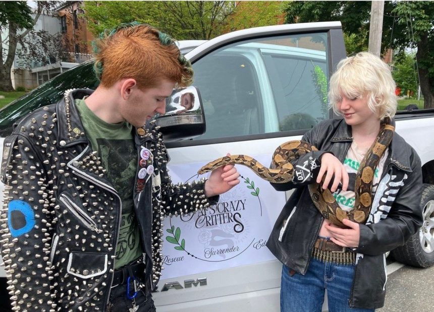 ‘love-the-unloved’:-reptiles,-snakes-need-rescuing-too,-says-cape-breton-resident