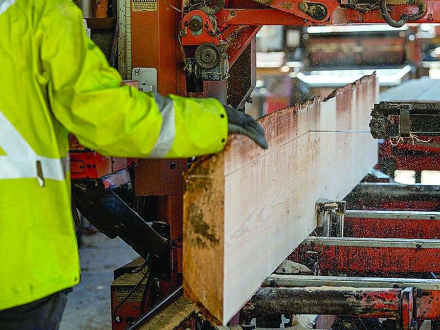 layoffs-begin-as-nova-scotia-pine-products-hit-by-latest-trump-tariffs