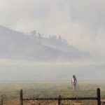 one-womans-race-to-save-her-horses-from-a-bc.-wildfire