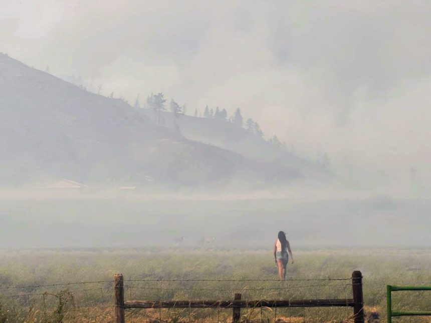 one-womans-race-to-save-her-horses-from-a-bc.-wildfire