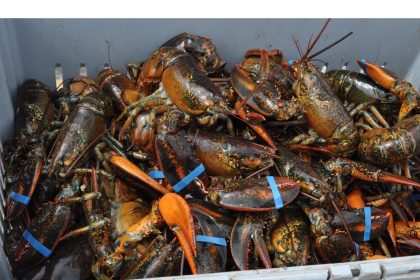 canada’s-seafood-counter-tariffs-raise-escalation-fears-on-both-sides-of-the-border