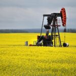 manitobas-orphan-wells,-explained