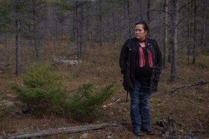 misipawistik-cree-nation-calls-for-a-stop-on-moose-hunting-in-its-traditional-territory