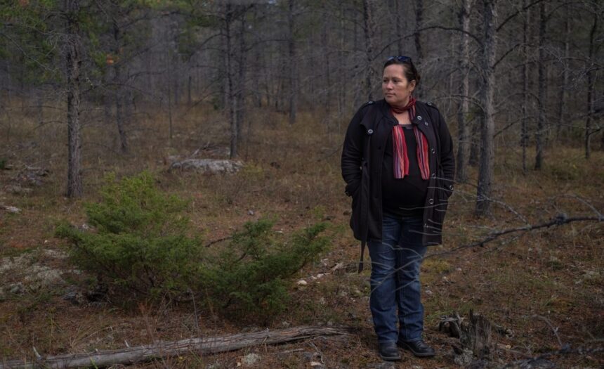 misipawistik-cree-nation-calls-for-a-stop-on-moose-hunting-in-its-traditional-territory